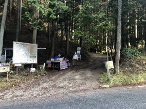【画像付き】登山初心者のわたしでも登れた金剛山のルートって？