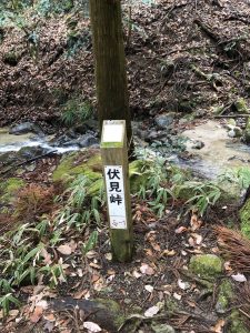 【画像付き】登山初心者のわたしでも登れた金剛山のルートって？