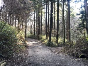 登山初心者で金剛山に登って学んだこと5　服装・ルート・行き方