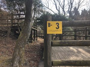 【画像付き】登山初心者のわたしでも登れた金剛山のルートって？