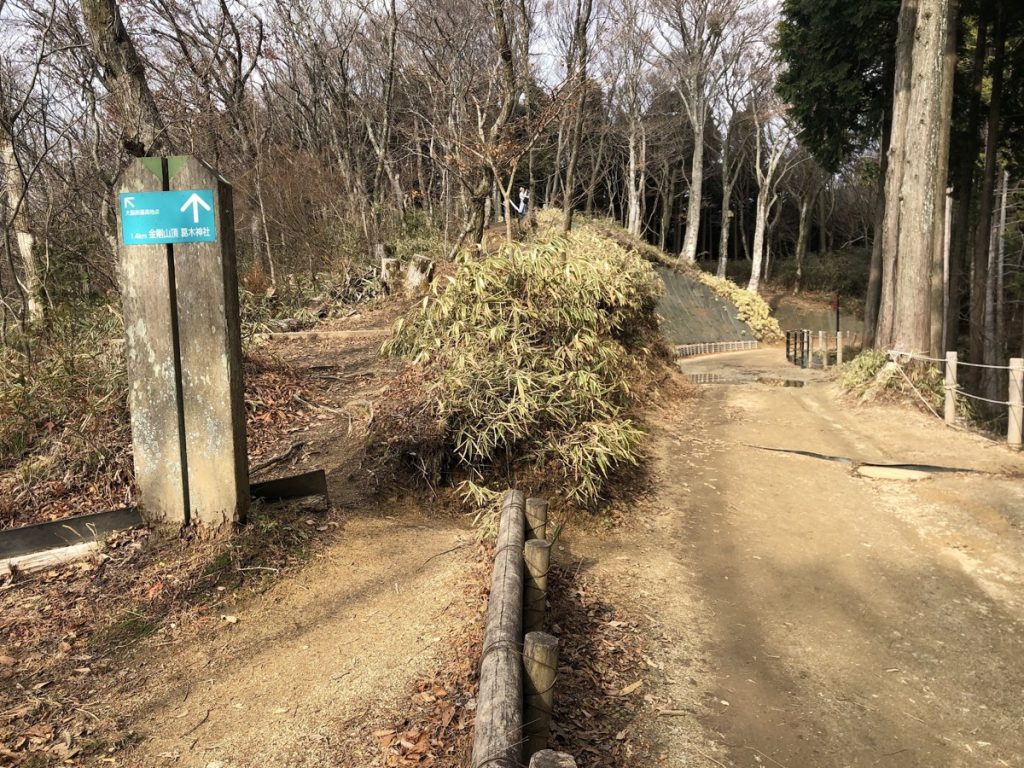 【画像付き】登山初心者のわたしでも登れた金剛山のルートって？