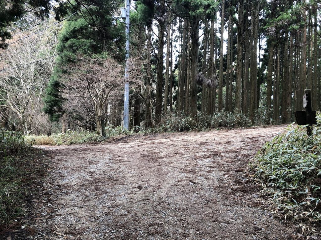 【画像付き】登山初心者のわたしでも登れた金剛山のルートって？