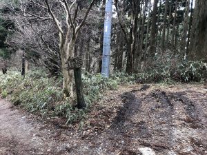 【画像付き】登山初心者のわたしでも登れた金剛山のルートって？