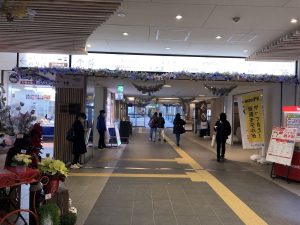 【画像付き】登山初心者のわたしでも登れた金剛山のルートって？